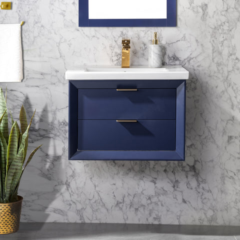 Danbury 24" Single Bathroom Vanity Set - Navy Blue