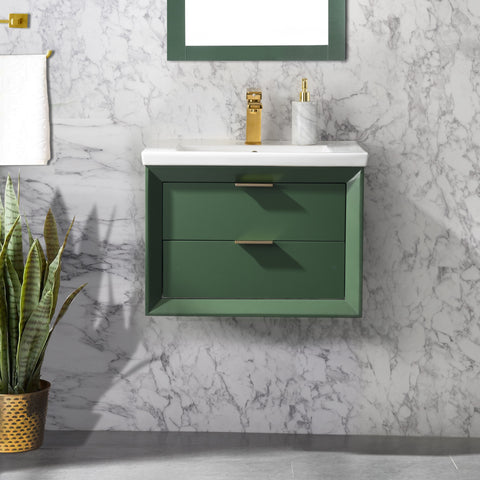 Danbury 24" Single Bathroom Vanity Set - Vogue Green