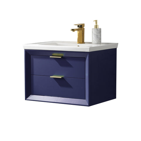 Danbury 24" Single Bathroom Vanity Set - Navy Blue